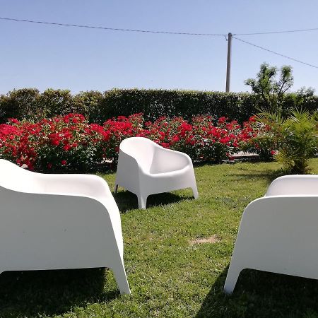 Casa Vacanze Angelica Ostra Vetere Esterno foto