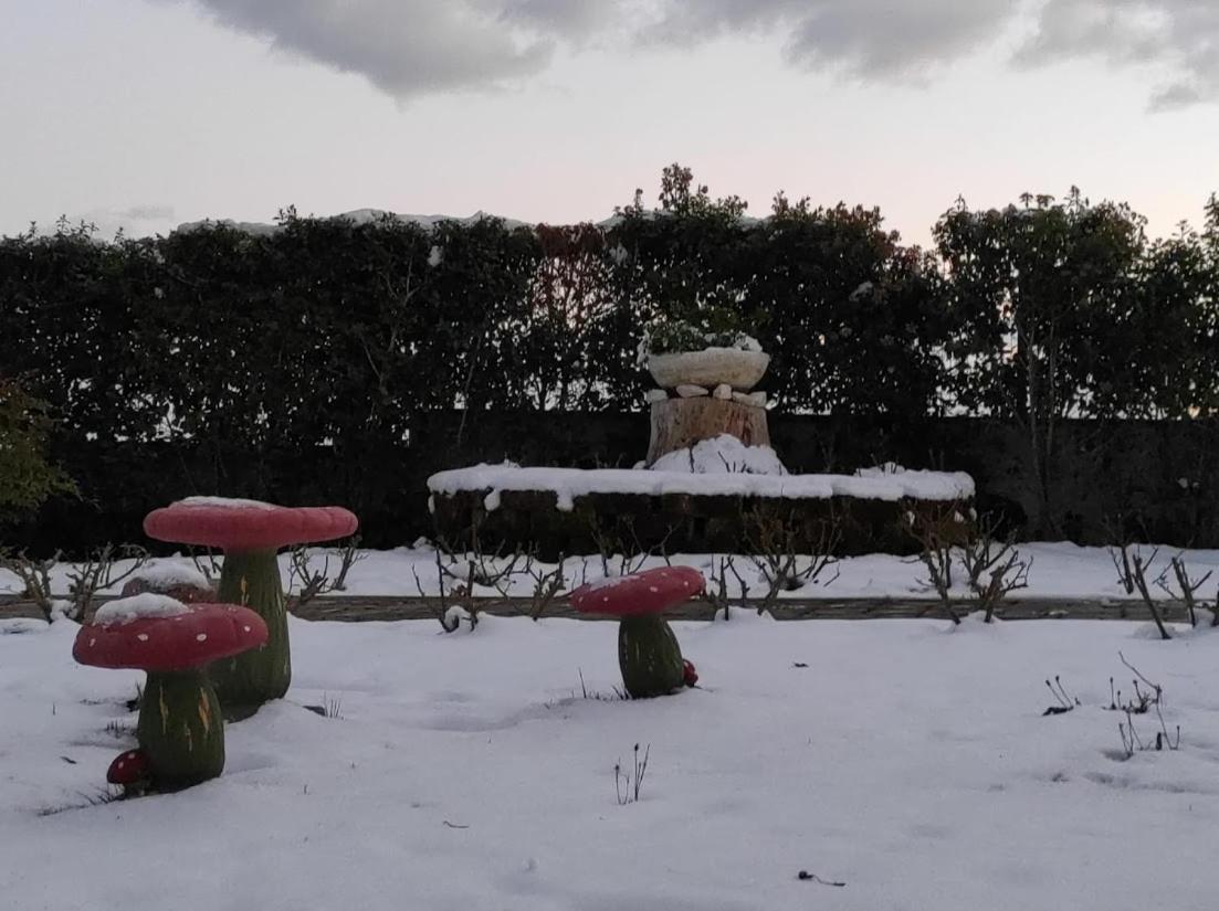 Casa Vacanze Angelica Ostra Vetere Esterno foto