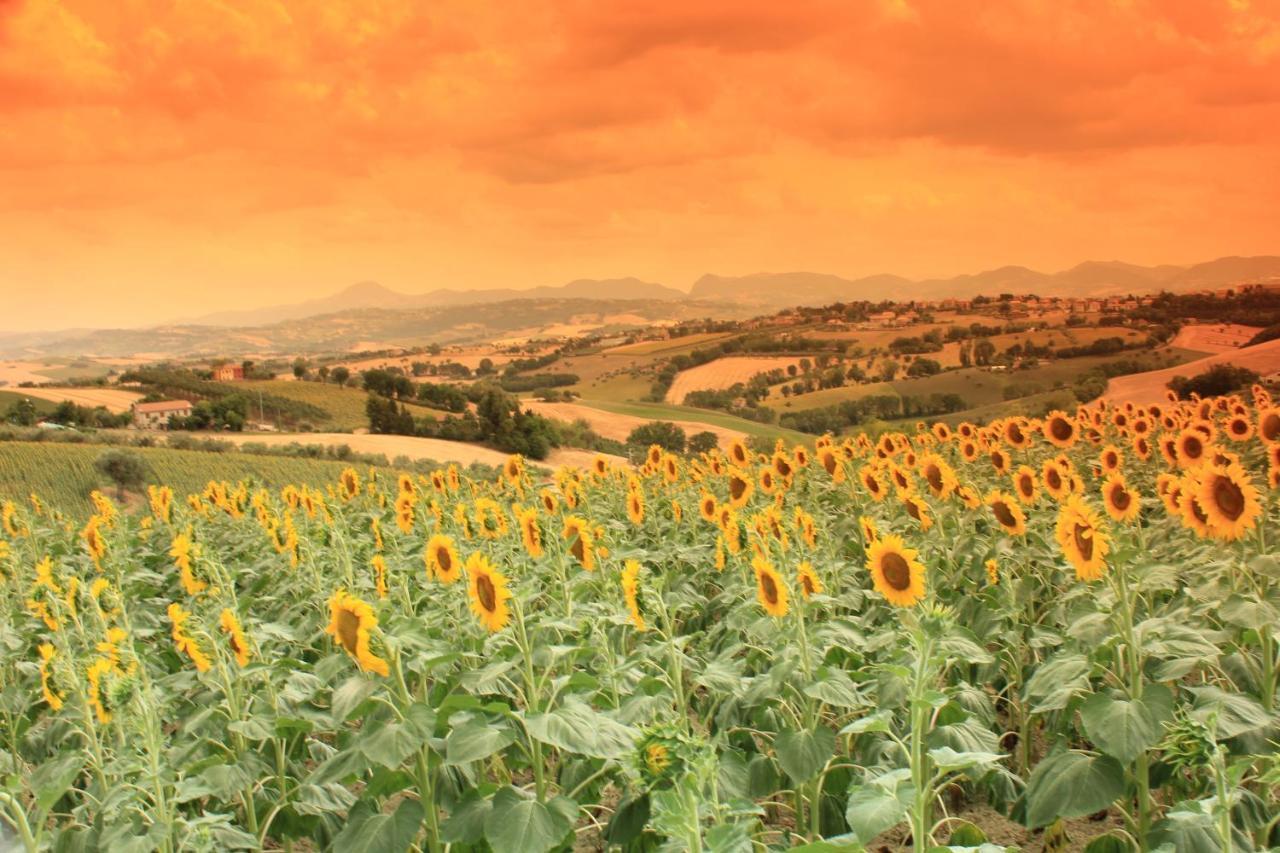 Casa Vacanze Angelica Ostra Vetere Esterno foto
