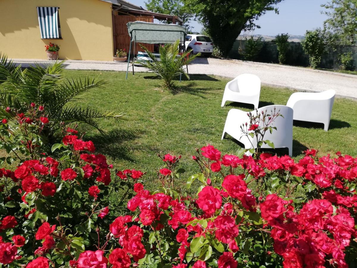 Casa Vacanze Angelica Ostra Vetere Esterno foto